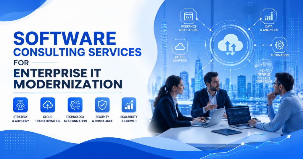 Software consulting services